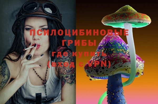 ешки Верхний Тагил